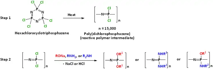 Hexachlorotriphosphazene ROP and subsequent nucleophilic substitution for desired polyphosphazene synthesis