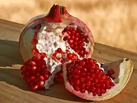 Fruit of the Pomegranate tree, introduced during the New Kingdom, used as a medicine against tapeworm various infections.