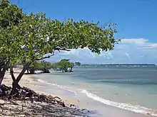 Sand-nourished La Guancha Beach