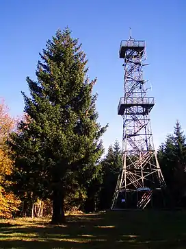 The tower on the Poppenberg