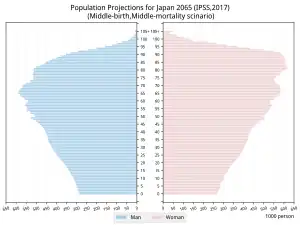 Population Pyramids of Japan 2065. (Middle-birth, Middle-death scenario case)