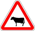 Domestic livestock