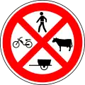 No pedestrians, mopeds, animals, and handcarts