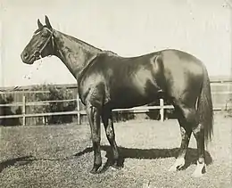 1906 winner – Poseidon
