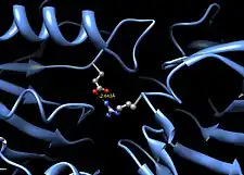 Potential salt bridge between Glu352 and Arg216 in human beta-glucuronidase