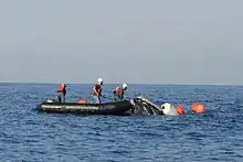 Rescuing North Atlantic right whale from by-catching