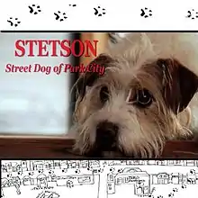 Poster art for the film Stetson, Street Dog of Park City