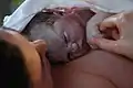 Closeup of baby's face right after birth, skin covered in vernix and some blood.