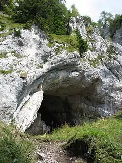 The entrance to the Potočka Zijalka, a cave in the Eastern Karavanke, where the remains of a human residence dated to the Aurignacian (40,000 to 30,000 BP) were found.