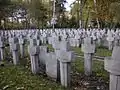 World War II graves