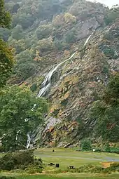 A thin stream of waterfall down a green hill. There's a tree on left side of the photo.