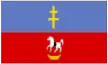Flag of Włoszczowski County