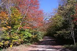 Powley-Piseco Road in Arietta