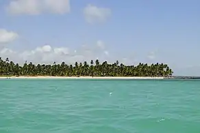 Ipioca beach in Maceió