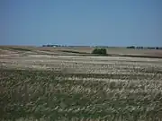 Prairie in Alberta, Canada