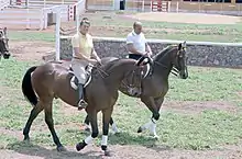 Presidents Figueiredo and Reagan riding horses in Brasília, 1 December 1982