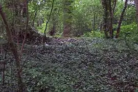 View of ice house from the right of prior picture