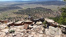 Rocky cliff in foreground with piñon branches looking down onto piñon/juniper woodland and grassy openings 300 feet below. Dirt roads, arroyos, and railway lines cross the land in the distance.