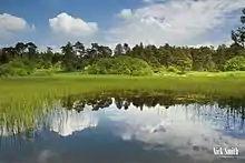 Priddy Pools ponds landscape image