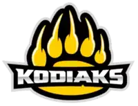 Team logo