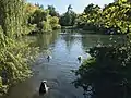 The lake in Priory Gardens