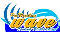 Pro Wrestling Wave logo