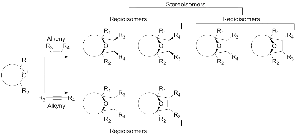 Scheme 9. Products of the 1,3-dipolar cycloaddition reaction between carbonyl ylide dipoles and alkenyl or alkynyl dipolarophiles. Modified from M. Hodgson, D.; H. Labande, A.; Muthusamy, S. In Organic Reactions; John Wiley & Sons, Inc.: 2004.