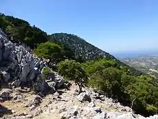 Fractured tectonic limestone by the path to Salakos. Middle Miocene-Pleistocene sediments on the plain below.