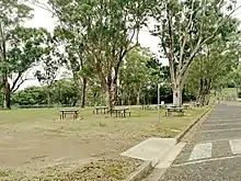 Upper Level picnic benches