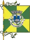 Flag of Figueira da Foz