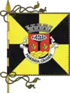 Flag of Marinha Grande