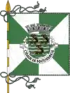 Flag of Matosinhos