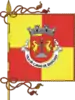 Flag of Canas de Senhorim