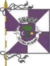 Flag of Oliveira do Bairro