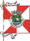 Flag of Peso da Régua
