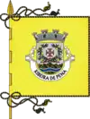 Flag of Ribeira de Pena
