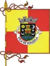 Flag of Vouzela