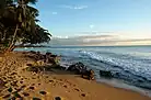 Beach in Rincón