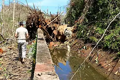 Work by Puerto Rico National Guard near Llanadas, Isabela after Hurricane Maria in 2017