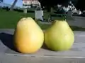 Pomelos