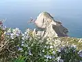 Cape Argentiera in North West Sardinia