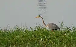 Sulur Lake