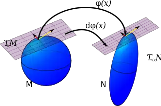 "If a map, φ, carries every point on manifold M to manifold N then the pushforward of φ carries vectors in the tangent space at every point in M to a tangent space at every point in N."