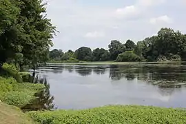 The banks of the Vienne river, in Queaux