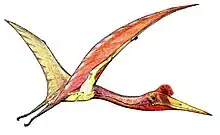 The azhdarchid Quetzalcoatlus, one of the largest animals to ever fly, lived during the Late Cretaceous