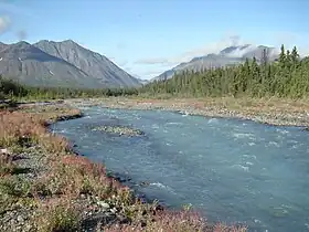 Scenery with mountains, a river, and a fir forest