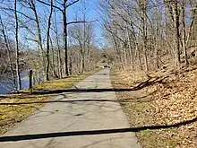 A paved trail in a wooded area
