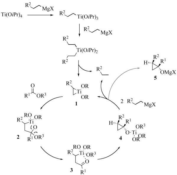 Reaction mechanism