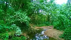 Río de los Negros in Dos Bocas