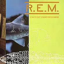 A short band of a photograph of a fish with a large portion of the sleeve in light green and the artist and song title in orange; the entire sleeve has white outline drawings of fish on it